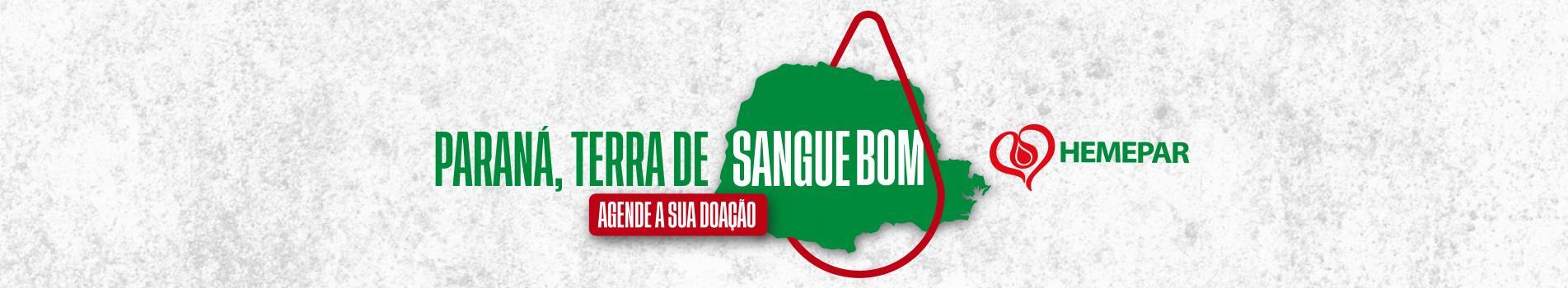 Agende sua doação de sangue