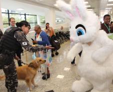 Hospital de Reabilitação inicia projeto de terapia de pacientes com cães da PMPR