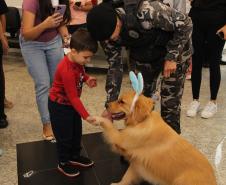 Hospital de Reabilitação inicia projeto de terapia de pacientes com cães da PMPR