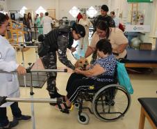 Hospital de Reabilitação inicia projeto de terapia de pacientes com cães da PMPR