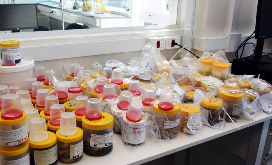 Sesa e Sesp inauguram laboratório multiusuário de patologia forense