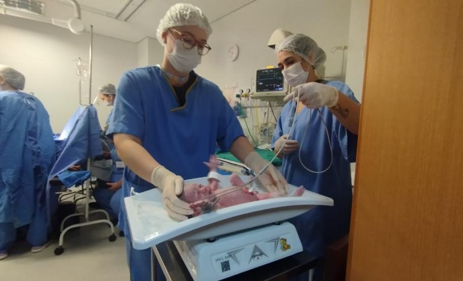 Rede materno-infantil do Estado garante parto seguro de gêmeas após gestação de alto risco