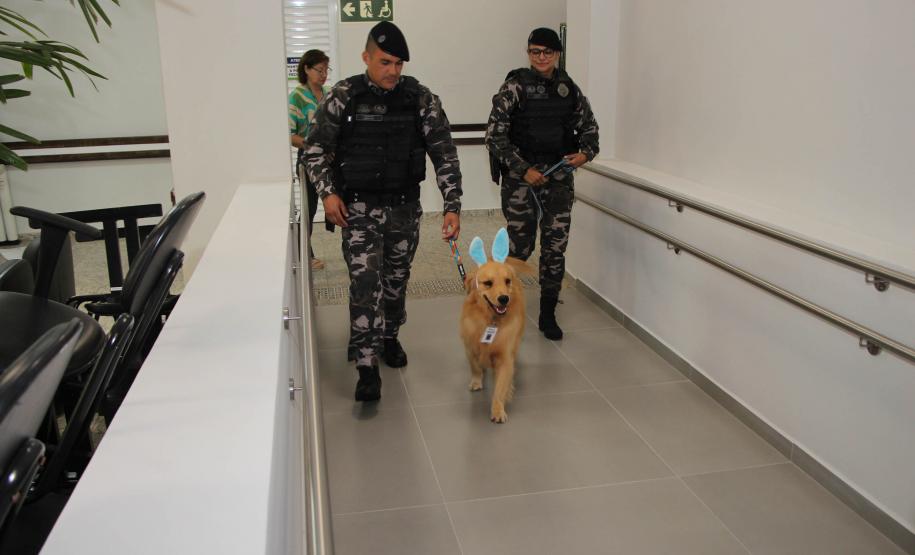 Hospital de Reabilitação inicia projeto de terapia de pacientes com cães da PMPR