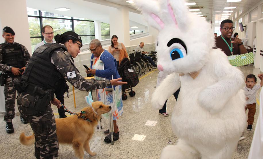 Hospital de Reabilitação inicia projeto de terapia de pacientes com cães da PMPR
