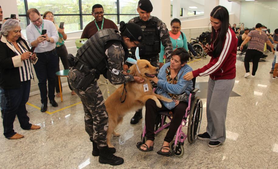 Hospital de Reabilitação inicia projeto de terapia de pacientes com cães da PMPR