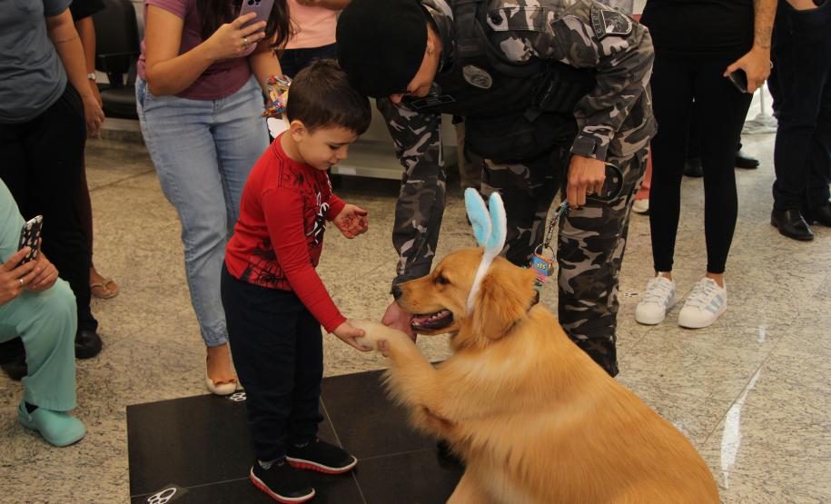 Hospital de Reabilitação inicia projeto de terapia de pacientes com cães da PMPR
