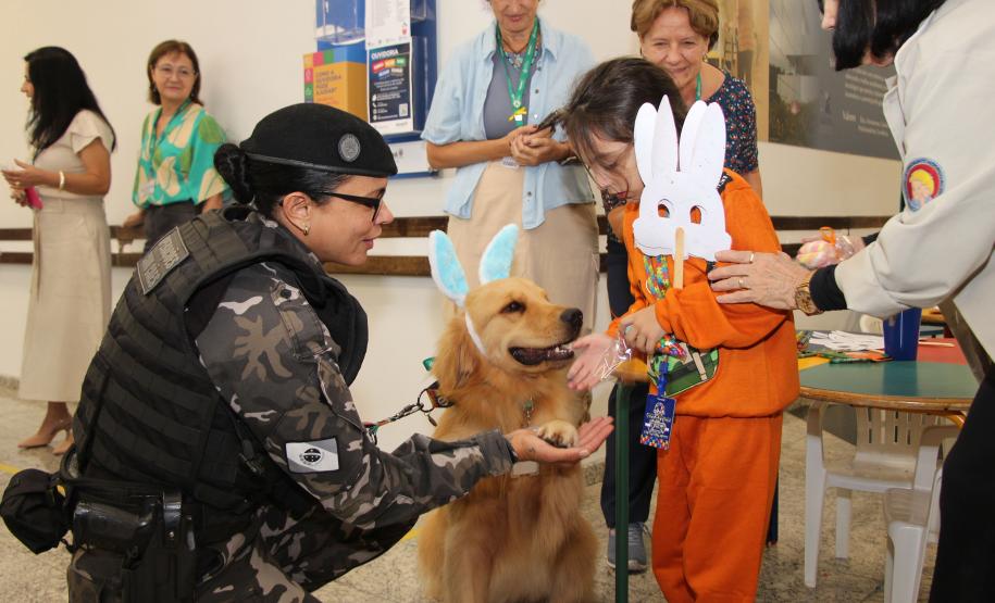 Hospital de Reabilitação inicia projeto de terapia de pacientes com cães da PMPR