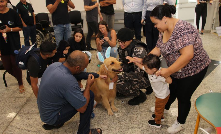 Hospital de Reabilitação inicia projeto de terapia de pacientes com cães da PMPR