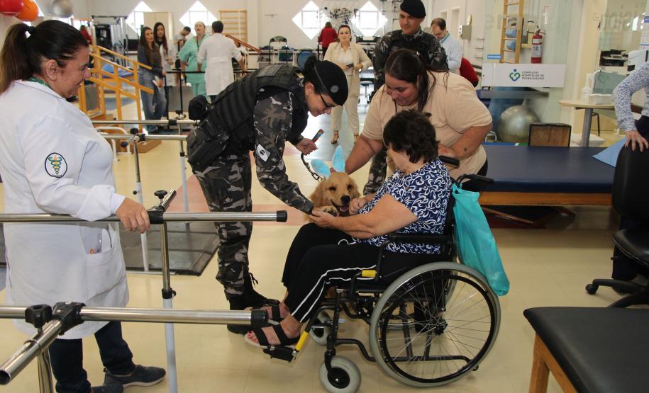 Hospital de Reabilitação inicia projeto de terapia de pacientes com cães da PMPR