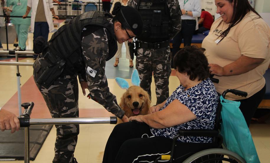 Hospital de Reabilitação inicia projeto de terapia de pacientes com cães da PMPR
