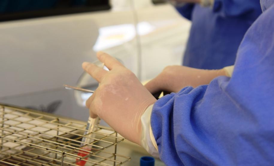 HOC inicia atendimento drive-thru para testar trabalhadores da saúde e da segurança para Covid-19