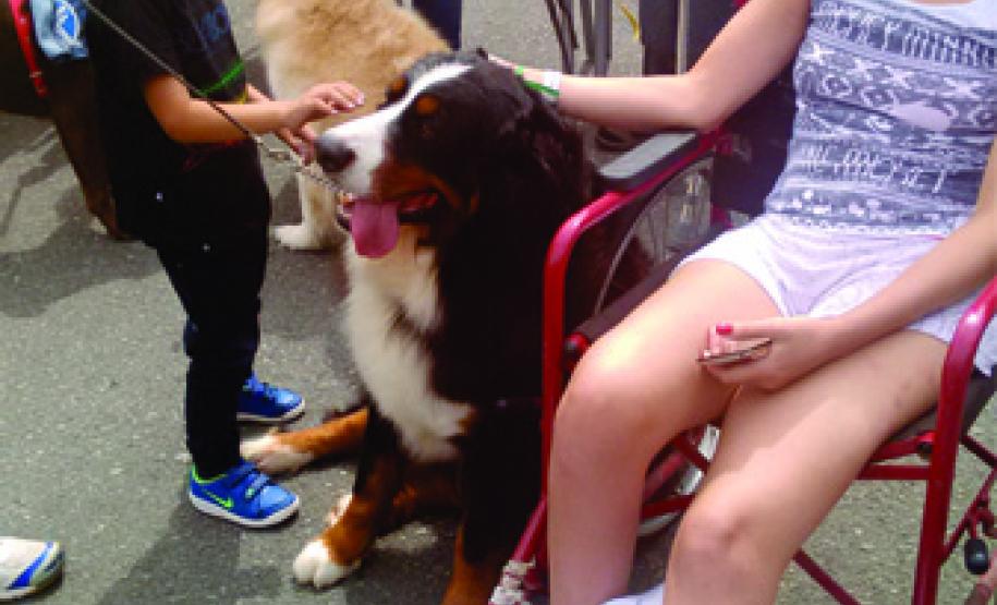 Projeto Amigo Bicho no Hospital do Trabalhador