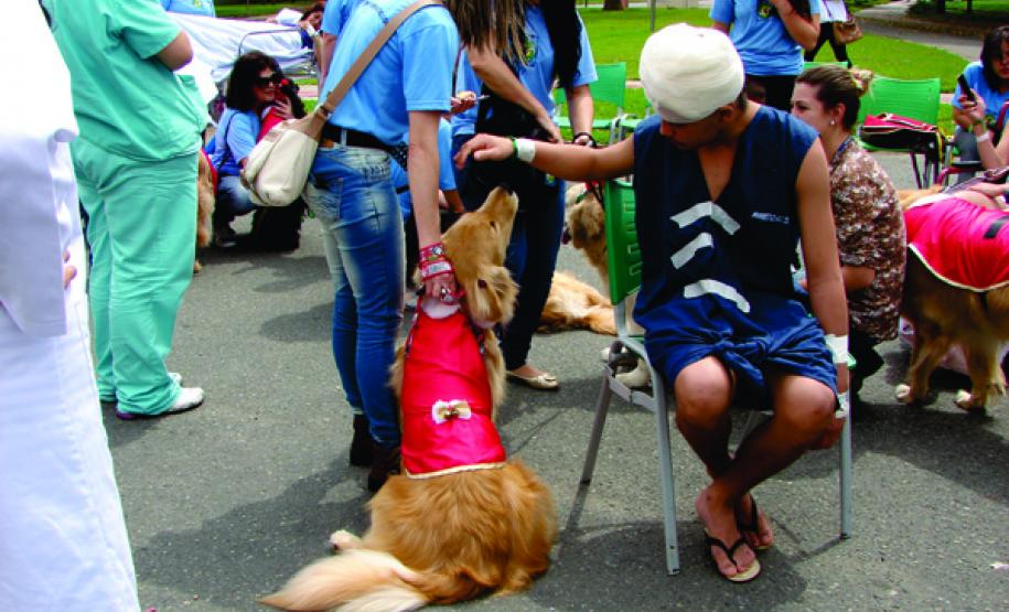 Projeto Amigo Bicho no Hospital do Trabalhador