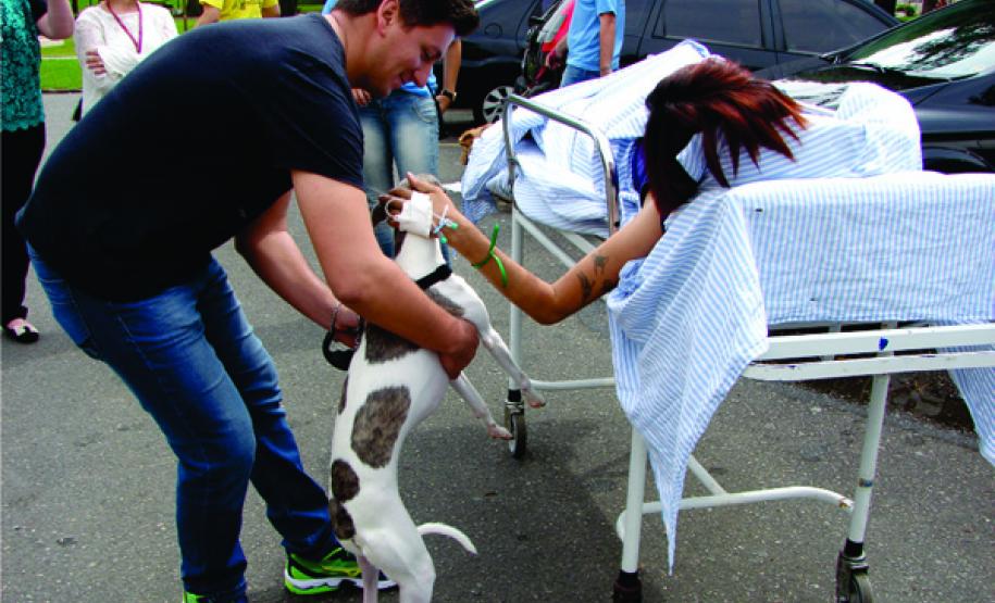 Projeto Amigo Bicho no Hospital do Trabalhador