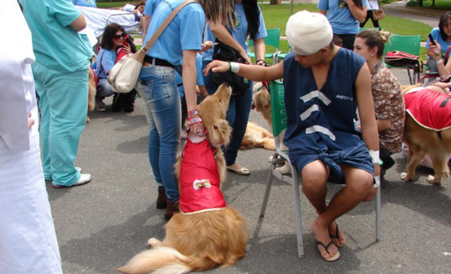 Tudo sobre o XII Encontro de Humanização